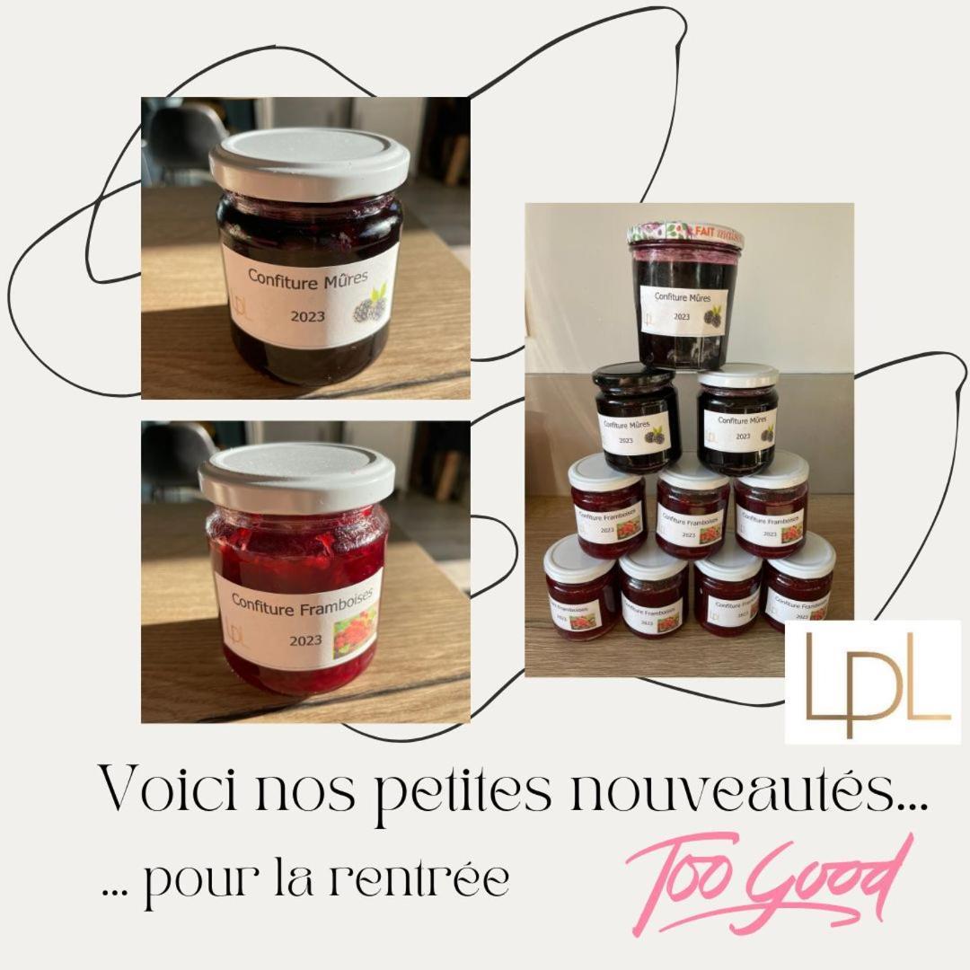 Logis De Pierre Levee Bed & Breakfast Bessines ภายนอก รูปภาพ